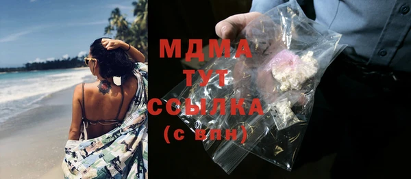 spice Богородицк
