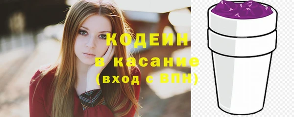 spice Богородицк