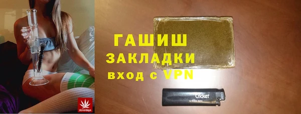spice Богородицк