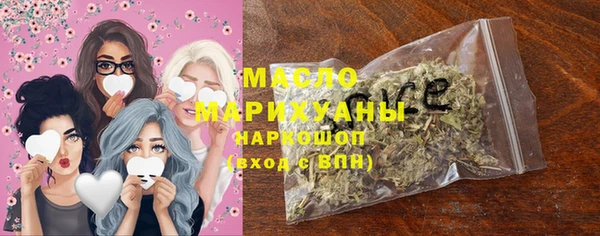 spice Богородицк