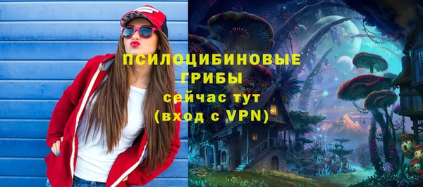 ешки Белокуриха