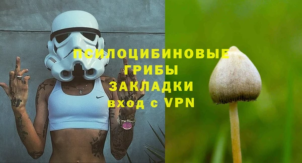 спайс Богданович