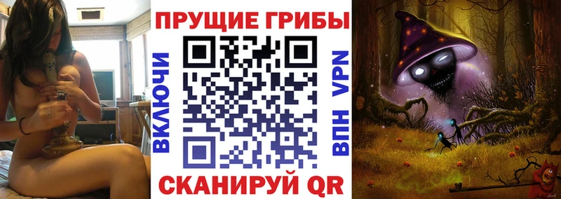 где продают наркотики Жуковка Псилоцибиновые грибы MAGIC MUSHROOMS